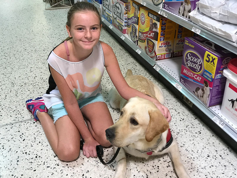 A girl kneels in a supermarket aisle with her hand on a yellow Labrador lying beside her in a red harness.