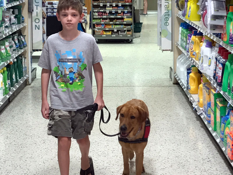 A boy in a grey T-shirt stands in a supermarket cleaning products aisle holding the leash of a tan dog in a red and black service harness standing at his side.