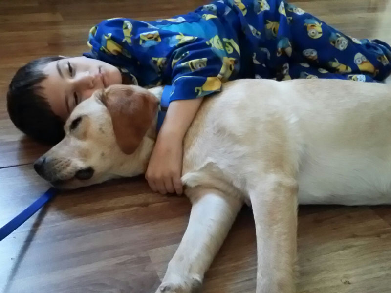 A boy in blue cartoon print pajamas lies on a wood floor with his arm around a yellow dog stretched out beside him, a blue leash trailing on the floor.
