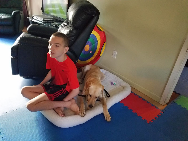 A boy sitting cross legged on a padded dog bed laid over a foam play mat floor, with a yellow Labrador in a harness lying against him.
