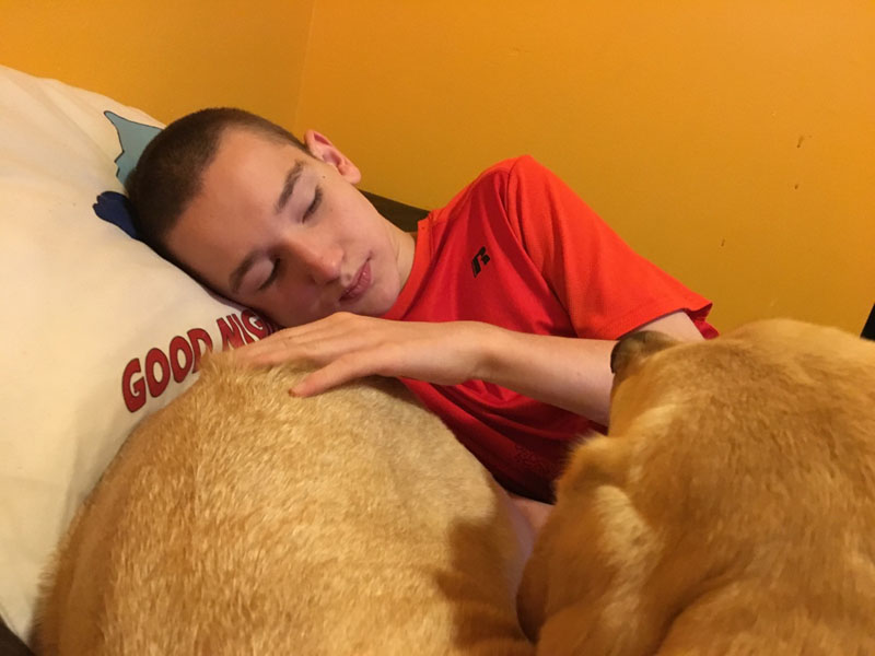 A boy in a red shirt lying on a printed pillow with one hand resting on a yellow dog curled up beside him.