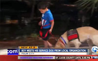 News video still captioned Boy meets his service dog from local organization, Palm City: a young boy in a superhero shirt standing outdoors at night beside a dog lying on the ground.