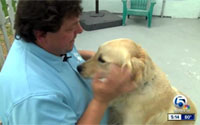 News video still: a man in a blue shirt crouching outdoors to cradle the head of a yellow Labrador, with a television station logo in the corner.